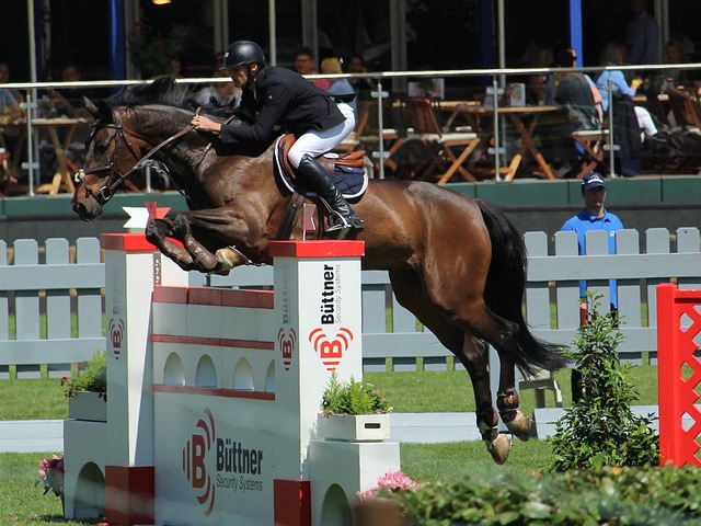 拉菲尼亚金球第五是否不公平？莱万：其实这些排名不能太当真