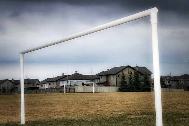 特黄蜂的比 特黄蜂的比