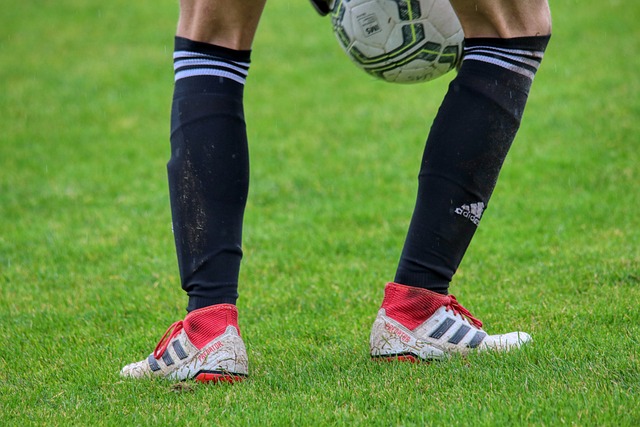 他其实完成 他其实完成